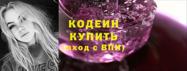 мдпв Киренск