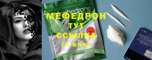 индика Карпинск