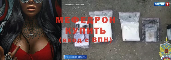индика Карпинск