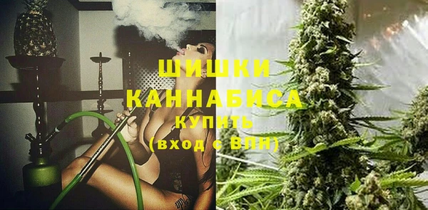 индика Карпинск