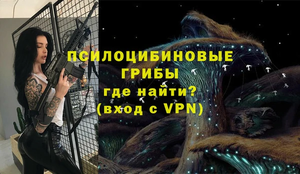 индика Карпинск