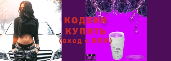 индика Карпинск