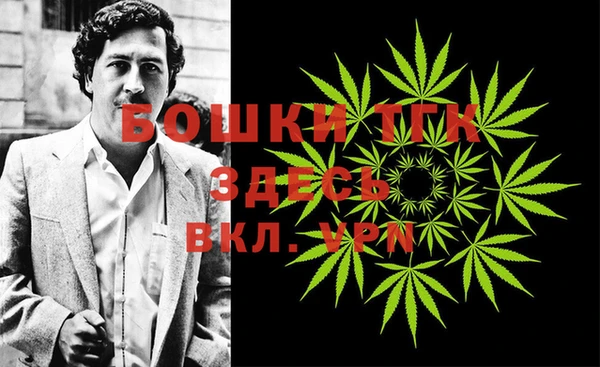 гашик Янаул