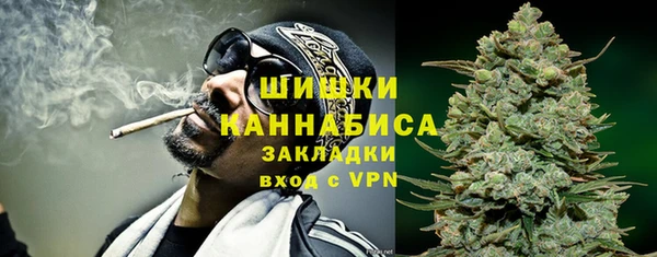 индика Карпинск