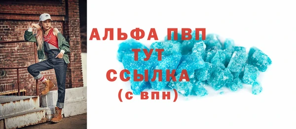 индика Карпинск