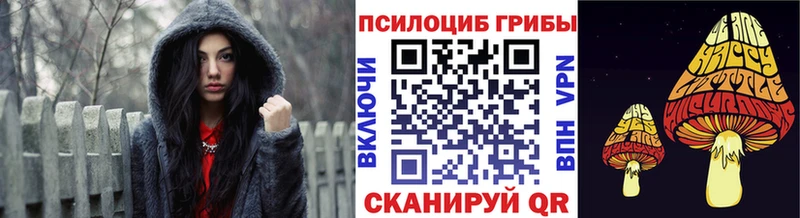 Купить где  Рассказово  Псилоцибиновые грибы ЛСД 